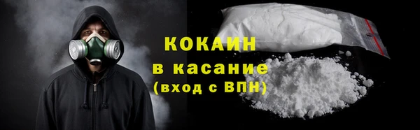 твердый Алзамай